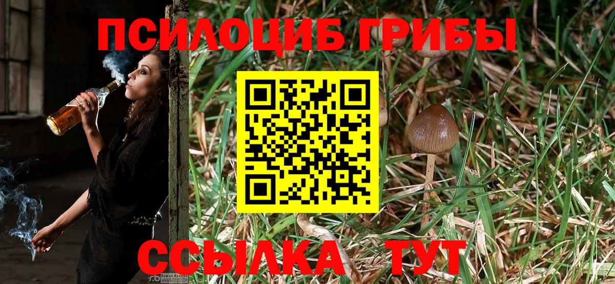 Псилоцибиновые грибы Magic Shrooms Кумертау